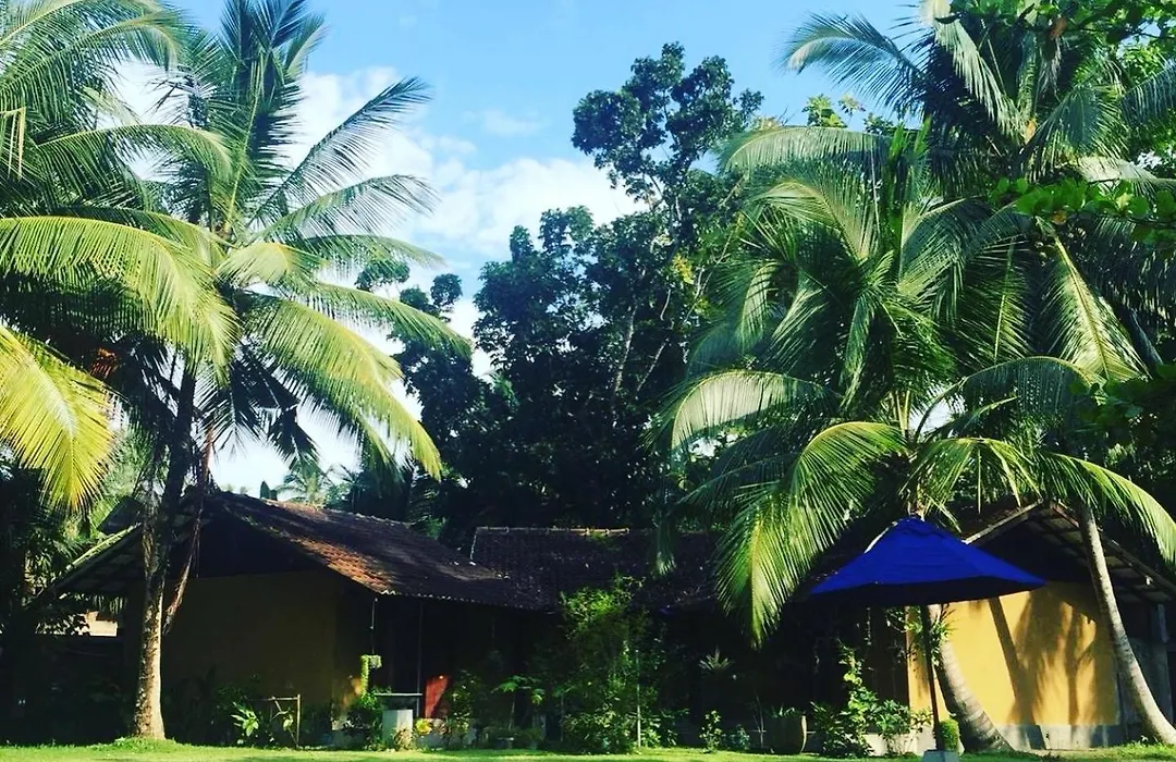 Villa Velmarie Yoga And Ayurveda House All Inclusive-1